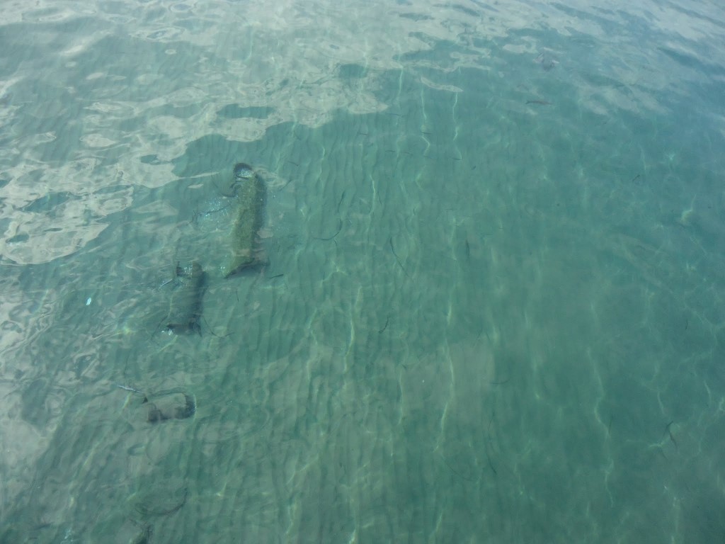 imagini hotel SUNIS EFES ROYAL PALACE OZDERE